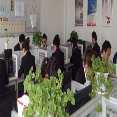 德州百創軟件開發 專業軟件外包服務的領航者